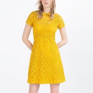 Zara Yellow Floral Peter Pan Dress Short Sleeve Collared Lace Dress Small